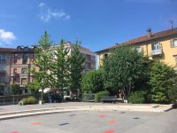 IMG_0803 - Kopie